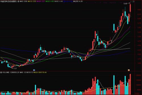 《八佰》開映,《姜子牙》定檔,誰將一戰“封神”?有個重要現象不能不看!