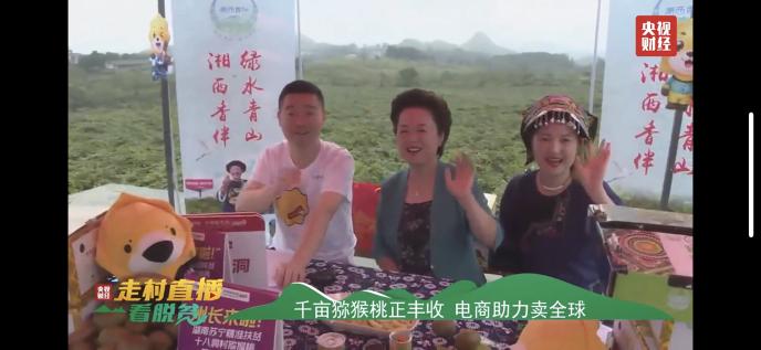 獼猴桃化身“金果果” 央視直播走進(jìn)十八洞村