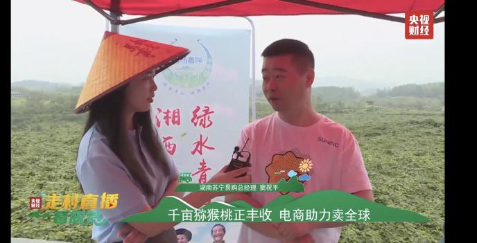 獼猴桃化身“金果果” 央視直播走進(jìn)十八洞村