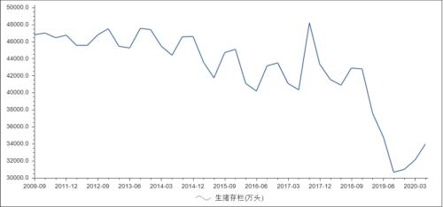 13歲的“豬堅強”:周期與輪回