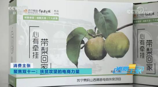 互聯網電商成脫貧快車,央視點贊蘇寧助力玉露香梨產業發展