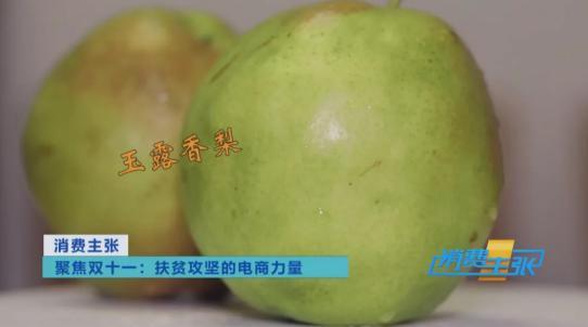 互聯網電商成脫貧快車,央視點贊蘇寧助力玉露香梨產業發展