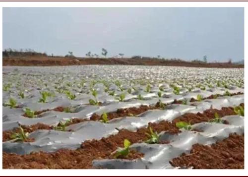 中金:順應(yīng)時(shí)代趨勢(shì),掘金可降解塑料產(chǎn)業(yè)投資機(jī)會(huì)