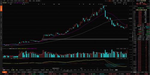 輔料價格已有所松動,光伏板塊可以關注什么?