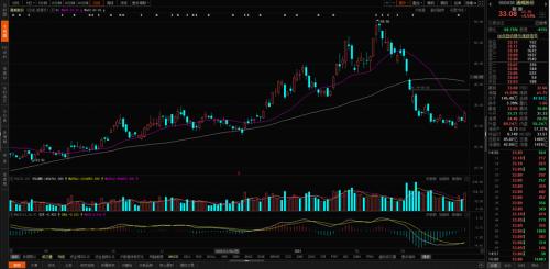 輔料價格已有所松動,光伏板塊可以關注什么?