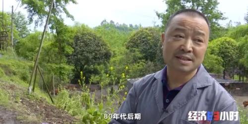 8個品種本土種豬滅絕！我們餐桌多為“外來豬”？！本土“二師兄”去哪了？