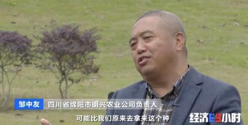 8個品種本土種豬滅絕！我們餐桌多為“外來豬”？！本土“二師兄”去哪了？