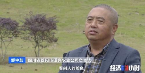 8個品種本土種豬滅絕！我們餐桌多為“外來豬”？！本土“二師兄”去哪了？